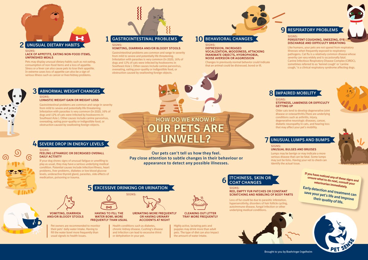 Our goal is to empower pet owners with a unique ability called 'Pet Sense,' enabling them to respond to their pets' health needs more effectively, while protecting themselves from potential health risks.