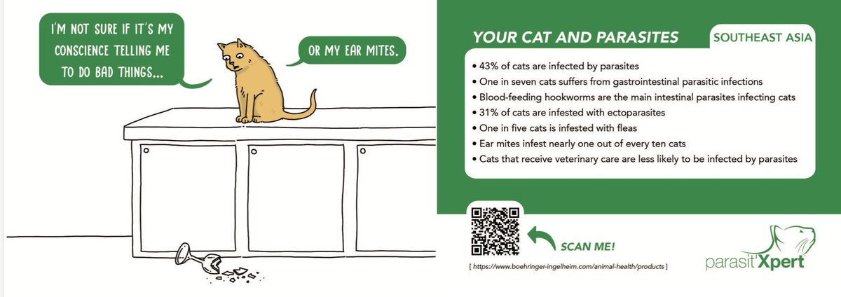 Vito Colella tweet media