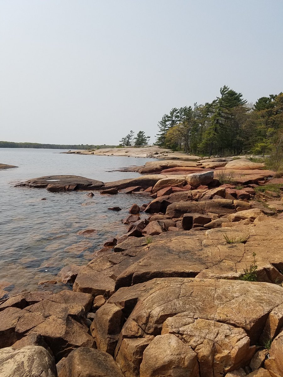 JanFromTheBruce's tweet photo. Camping at #Killbear prov. park with lots of #mosquitoes . But it's still wonderful https://t.co/JXX0DOzz3q