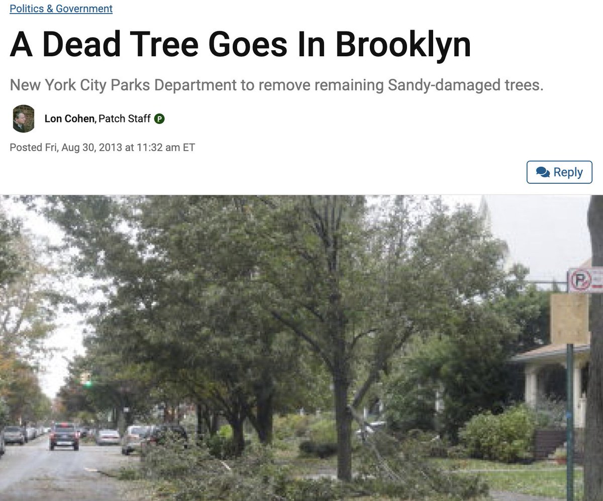 Oh c'mon now... That headline was pure gold!