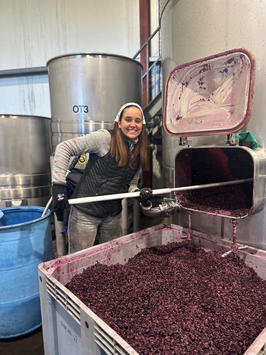It has been all go in the winery!  Digging out the Pinot with all smiles from M &amp; M (Marta and Marta).  M &amp; M rock...all the way from Portugal #nzwine #vintage2023 #framinghamwines