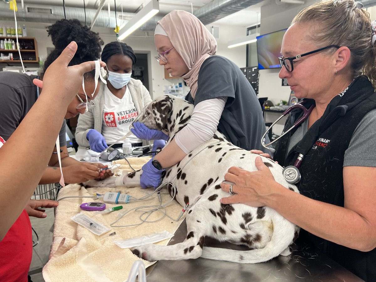 Noah Gray tweet media