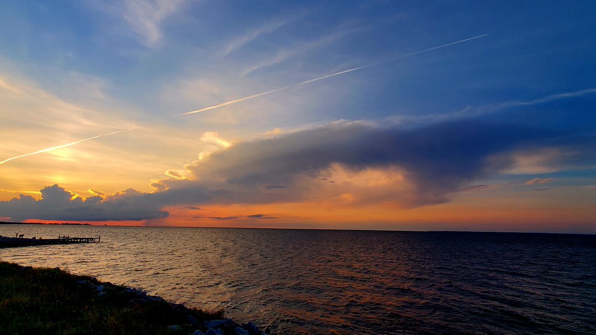 Tom Hall tweet media