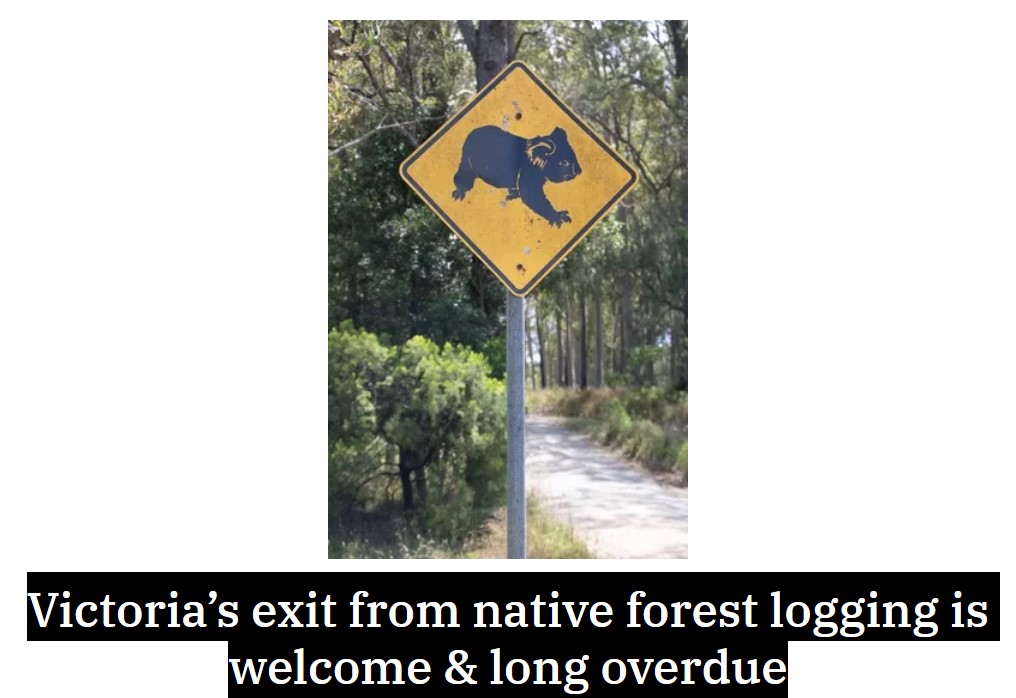 By the end of the year, Victoria’s trouble-plagued native forest industry will end – six years ahead of schedule. The state’s iconic mountain ash forests and endangered wildlife will at last be safe from chainsaws. savebulgaforest.org/victorias-exit…