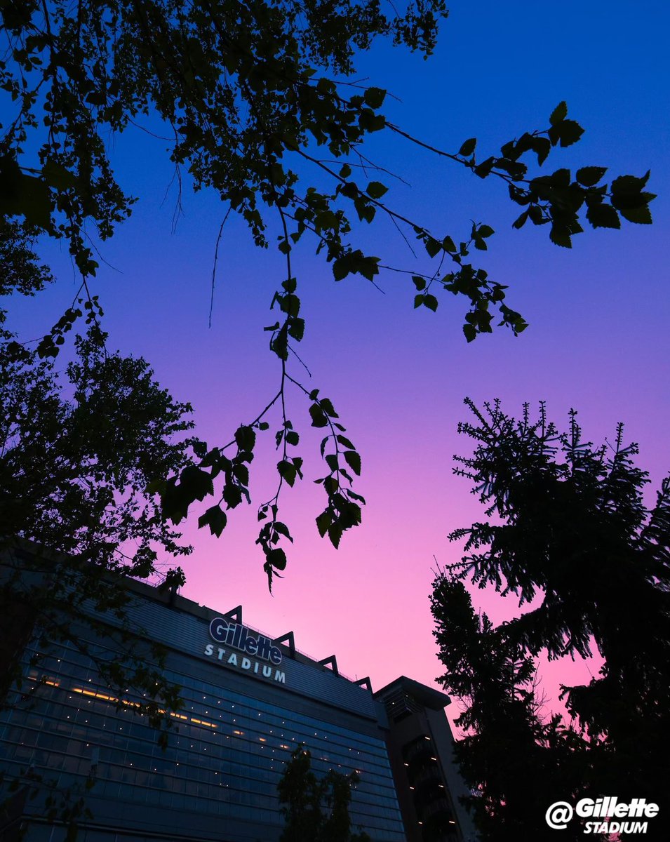 I just wanna stay in that 𝓁𝒶𝓋𝑒𝓃𝒹𝑒𝓇 𝒽𝒶𝓏𝑒 💜