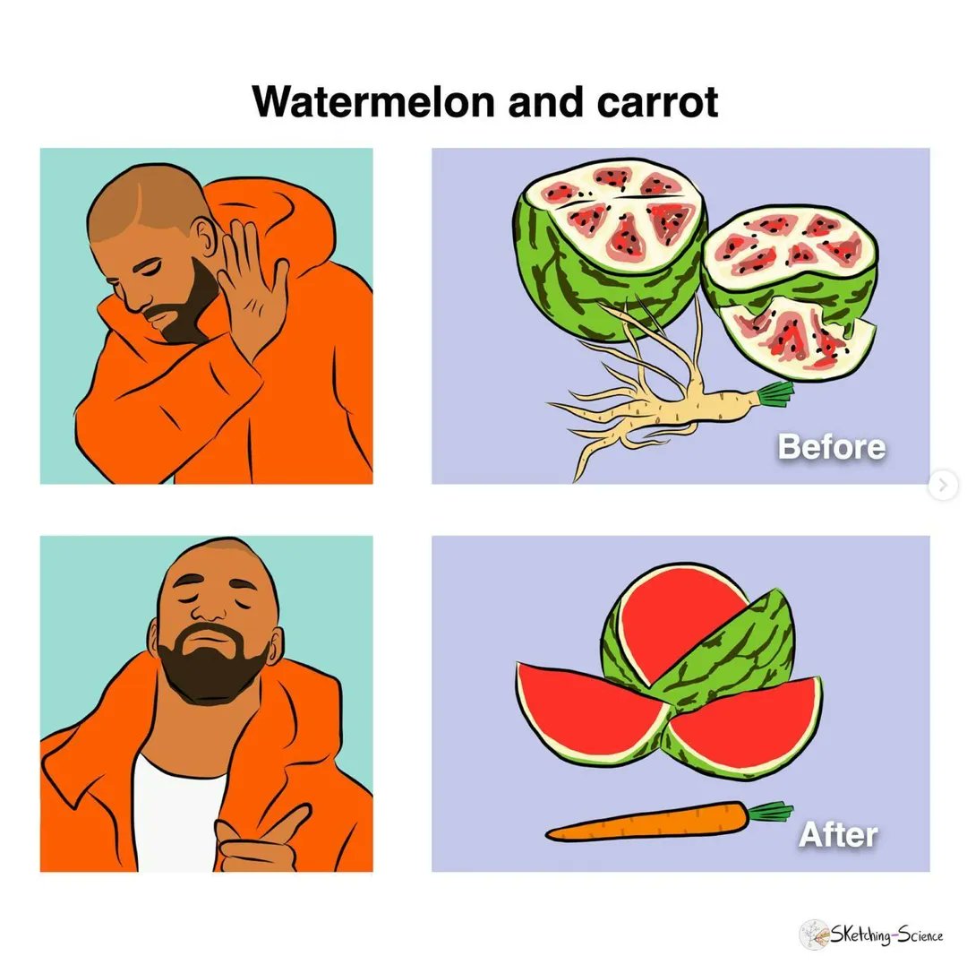 ScienceAlert on Twitter "We sure mutated the heck out of our fruits and veg! 🍅🥕🌽 Selectively