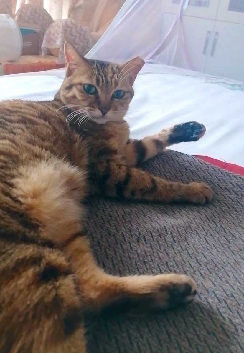 Say hi to everybody!