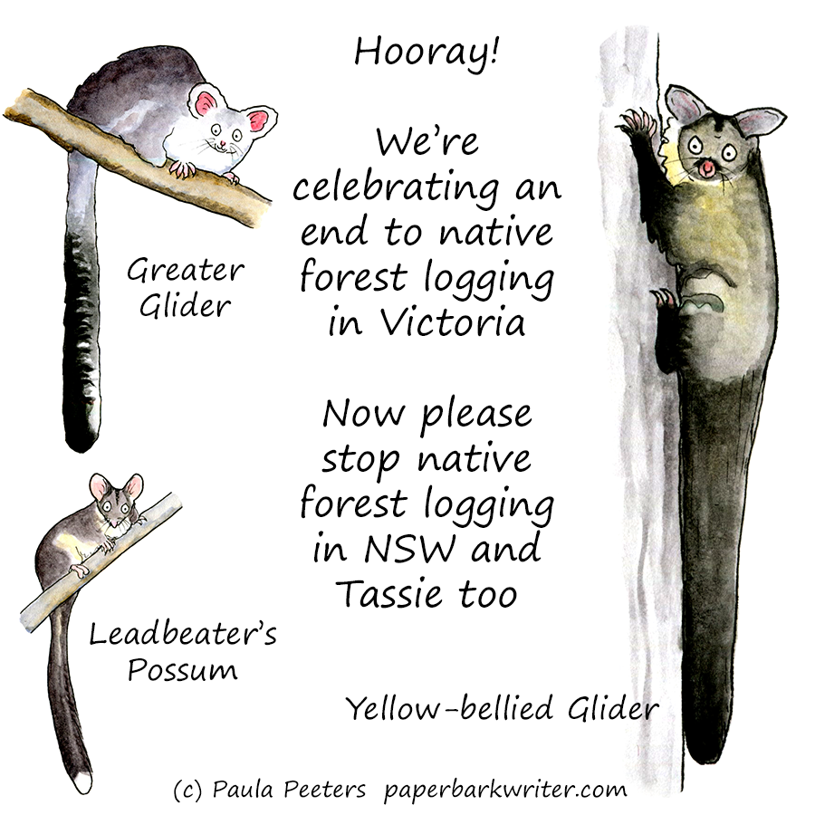 Many creatures (and plants and fungi) rely on our native forests, here's just a few.... #nativeforestlogging