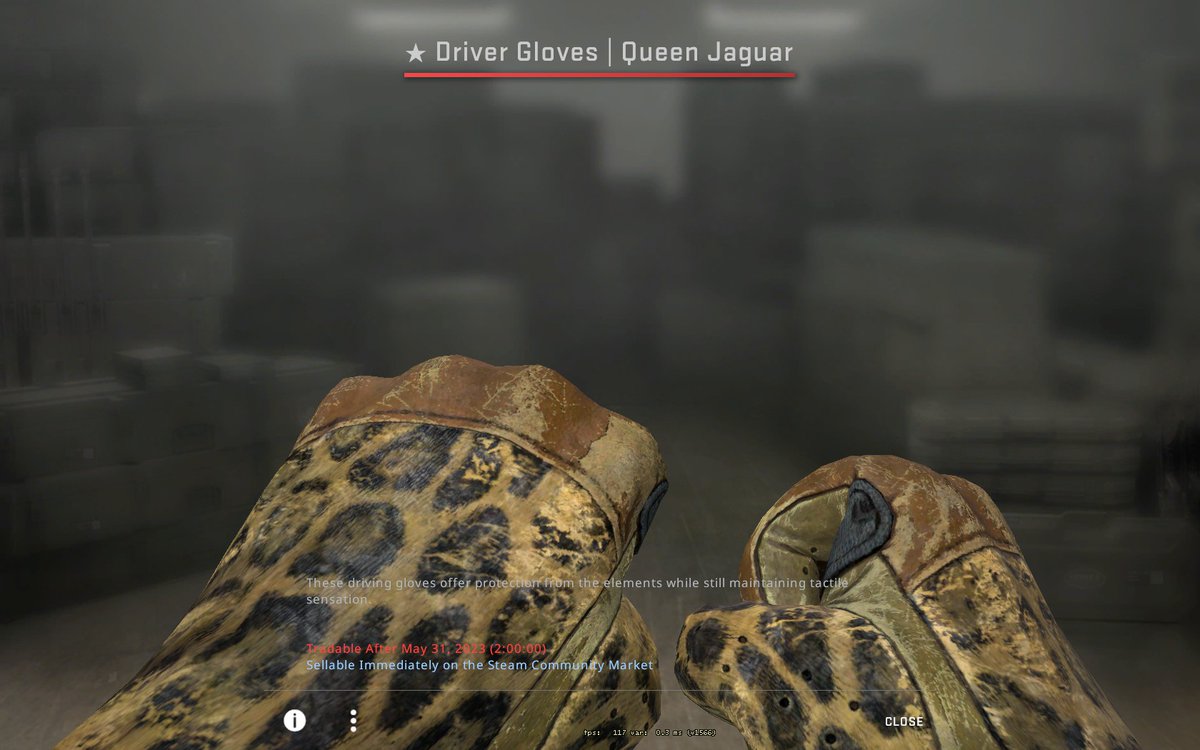 stamjna's tweet photo. GIVEAWAY!! Rolling on May 31st (trade locked)

★ Driver Gloves | Queen Jaguar (BS) $90

To Enter:
- Follow me on twitter @stamjna 
- Like, Retweet, + Tag 2 friends
-
Good luck! https://t.co/d5ErQyneYB