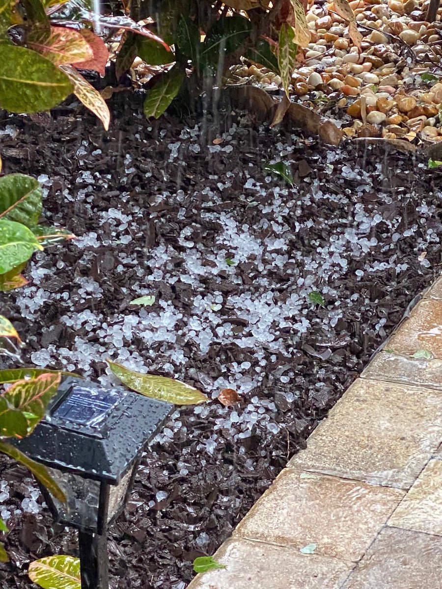 Rubén Capote tweet media