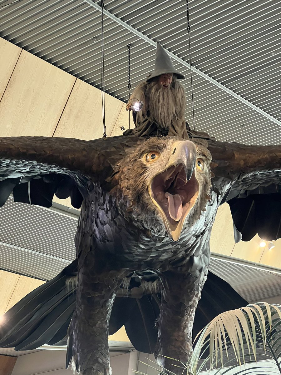 Phil Jones tweet media