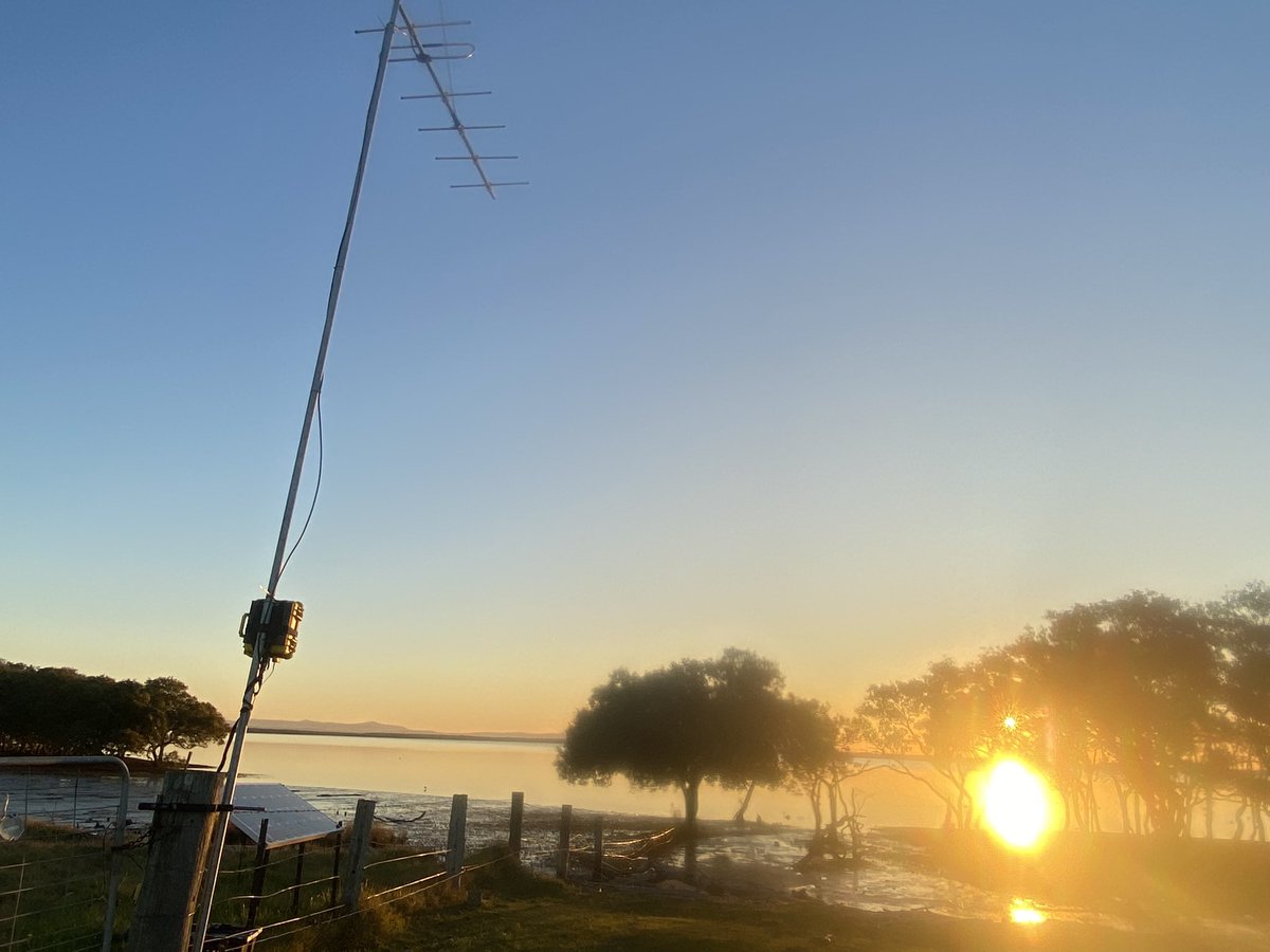Andrea Griffin (@drandreagriffin) on Twitter photo The sun is setting as I download detection files from our Fullerton Cove motus station. What a beautiful Hunter Estuary we have! <a href="/ConservationUon/">Conservation Science Research Group</a> <a href="/HunterBirders/">Hunter Bird Observers Club (HBOC)</a> <a href="/BirdsByLou/">Louise Williams</a> <a href="/Mattea_Taylor/">Mattea Taylor</a> The sun is setting as I download detection files from our Fullerton Cove motus station. What a beautiful Hunter Estuary we have! <a href="/ConservationUon/">Conservation Science Research Group</a> <a href="/HunterBirders/">Hunter Bird Observers Club (HBOC)</a> <a href="/BirdsByLou/">Louise Williams</a> <a href="/Mattea_Taylor/">Mattea Taylor</a>