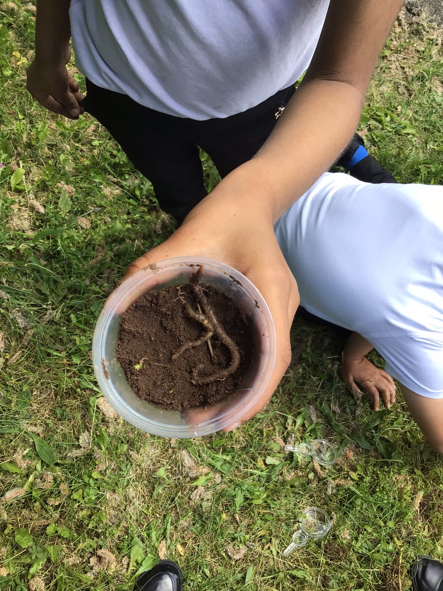Byronprimarysch's tweet photo. Class 3D have loved observing and describing what’s under our feet as part of the Plant Your Pants activity! We can’t wait to plant our pants! #PlantYourPants #ByronSTEM #ScienceWeek https://t.co/ssQDncDmwr