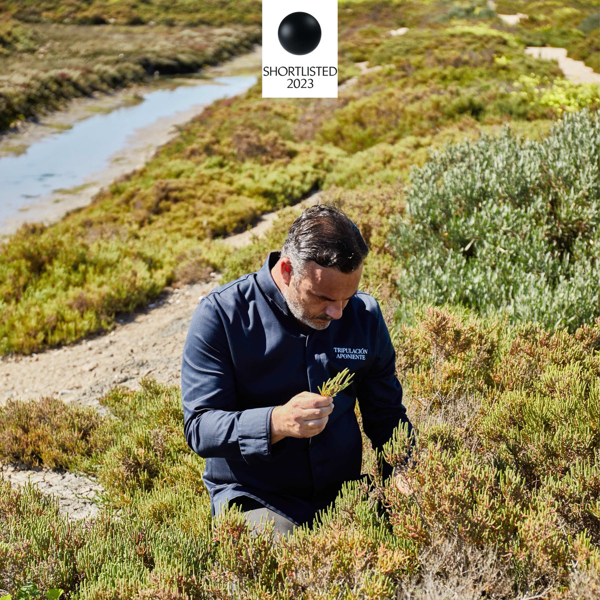 Presenting Food Planet Prize 2023 #Shortlist: Aponiente @chefdelmar is cultivating an edible #seagrain which can be cooked as rice, has more protein & fiber. It could help reduce #foodinsecurity. More: foodplanetprize.org/initiatives/ap… Text by @martamontojo Photos by @bea_janer