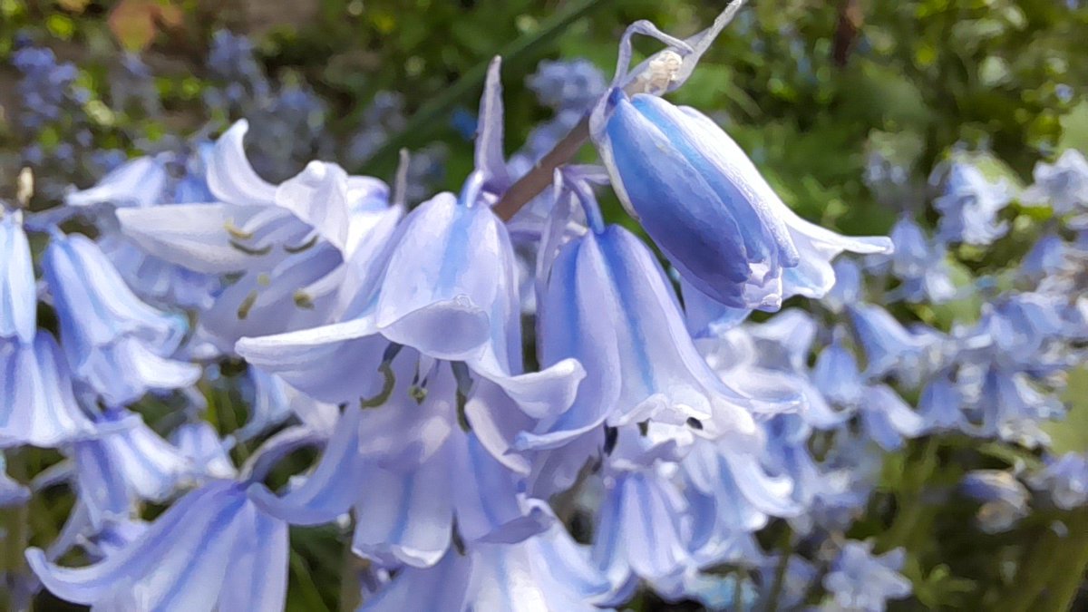 Good morning,  have lovely and sunny day  😀🌞 
#goodmorning #PositiveVibesOnly