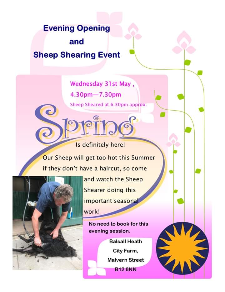 No Sheep Shearing at our Saturday event this year so we are opening specially next Wednesday evening so you can see it happening!