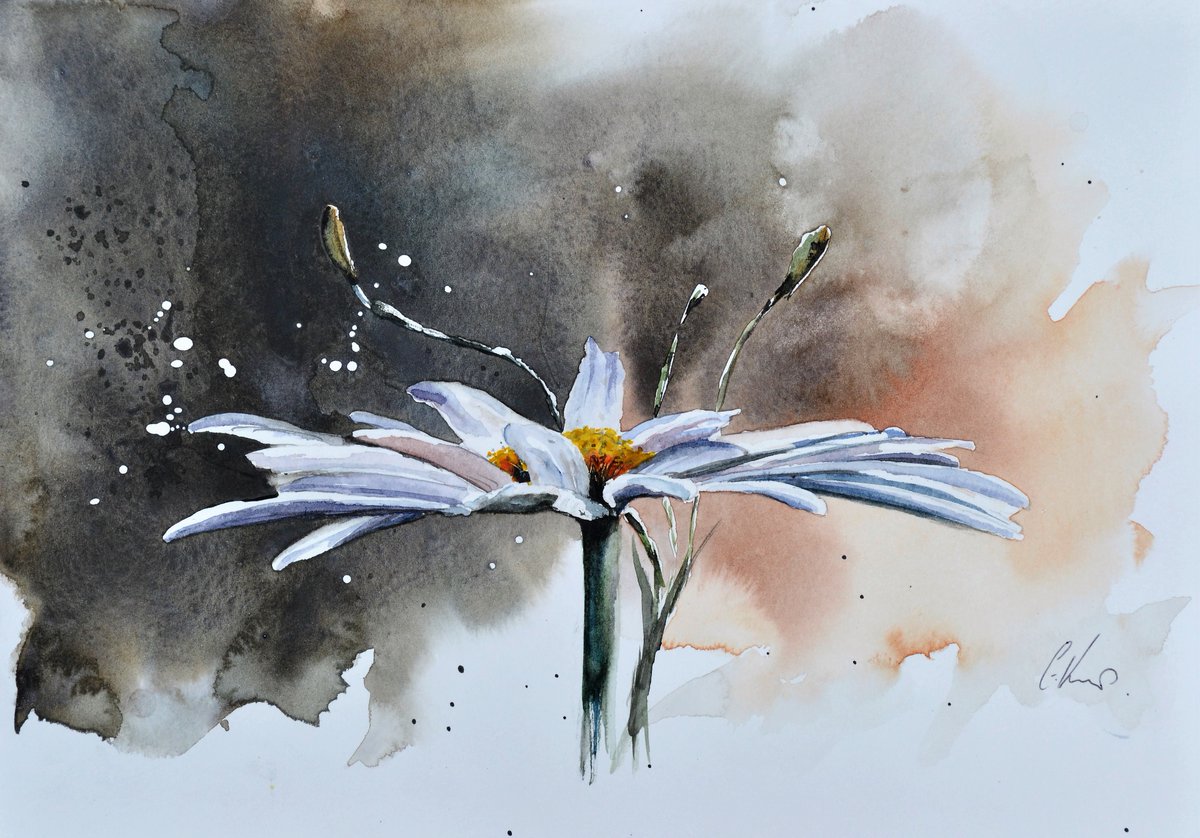 Daisy, watercolour. 
#watercolour