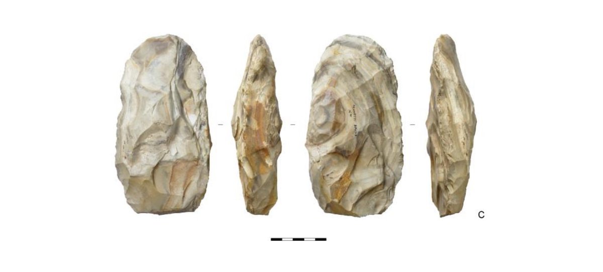 🎉To celebrate Australian National Archaeology Week #2023NAW we’d like to showpiece this ovate biface from Brunette Downs Station in Northern Australia. One of many tools within the article, they are made on ‘marine-banded chert, known locally as 'ribbonstone', or chalcedony’.