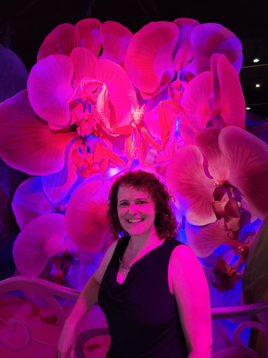 Rose Mastos on Twitter: "Took the family to the Natural History Museum