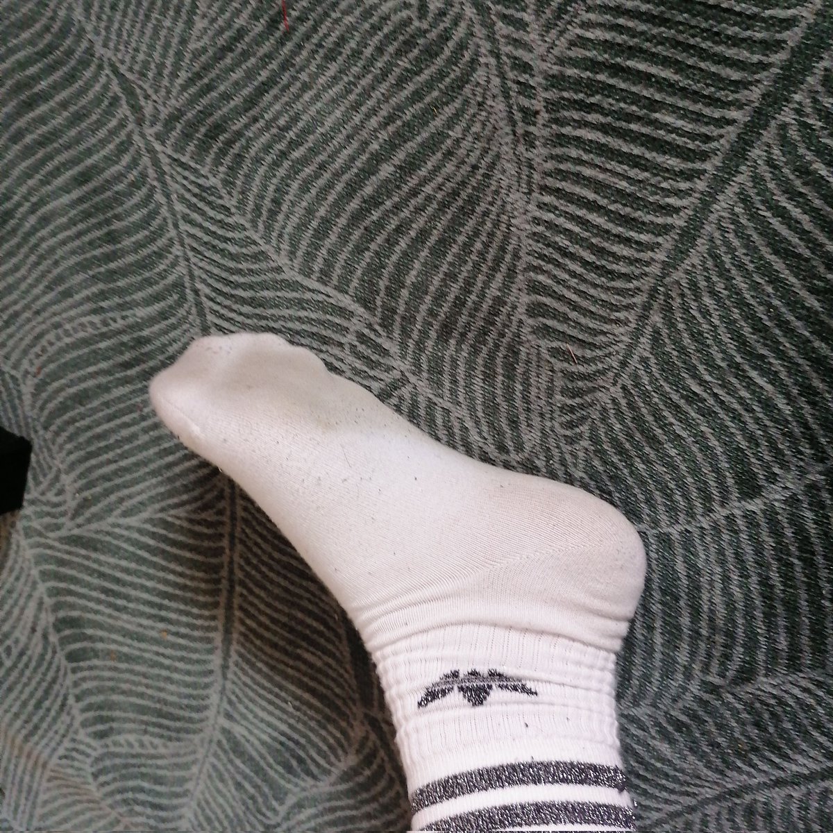 SockguyT's tweet image. 