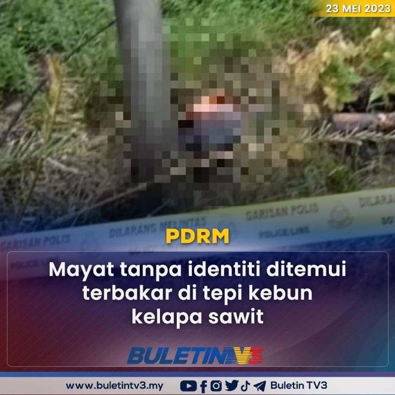 redzuanNewsMPB's tweet photo. Wanita ditikam hingga mati sebelum dibakar kerana suspek cuba rahsiakan kehamilan si mati dipercayai hasil hubungan seks luar nikah.

Suspek usia 20 ditahan pada hari sama di Sungai Besar susulan penemuan mayat dekat kebun kelapa sawit semalam - KPD Sabak Bernam https://t.co/jBYqeDERBN