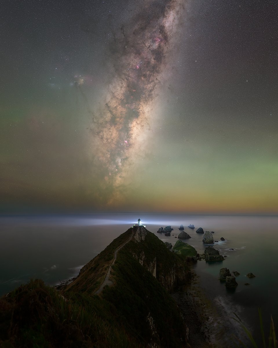 ScenicSouthNZ's tweet photo. A return to one of my favourite locations. Always my first port of call at the start of the new #milkyway core season. I'd argue I have more photos of #nuggetpoint than anyone else. But this is the first time capturing it with an #astro modified camera! https://t.co/Oy5kp9oAo3