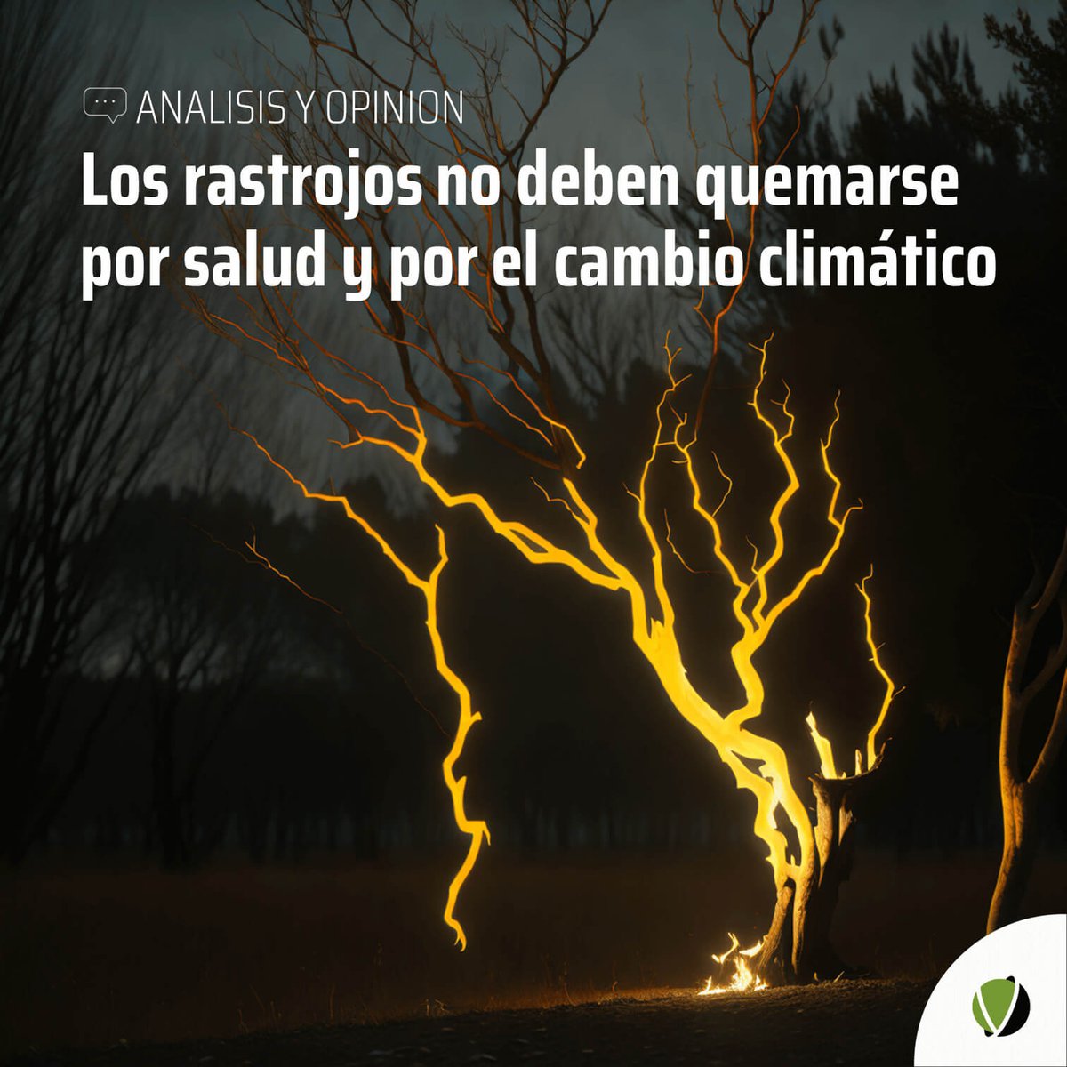 Quemar rastrojos es un tremendo ejemplo de insensatez que atenta contra la salud planetaria de diversas maneras...
🧵HILO

#cambioclimatico #salud #saludplanetaria #emisiones #quemarastrojos #fernandovalladares #lasaluddelahumanidad