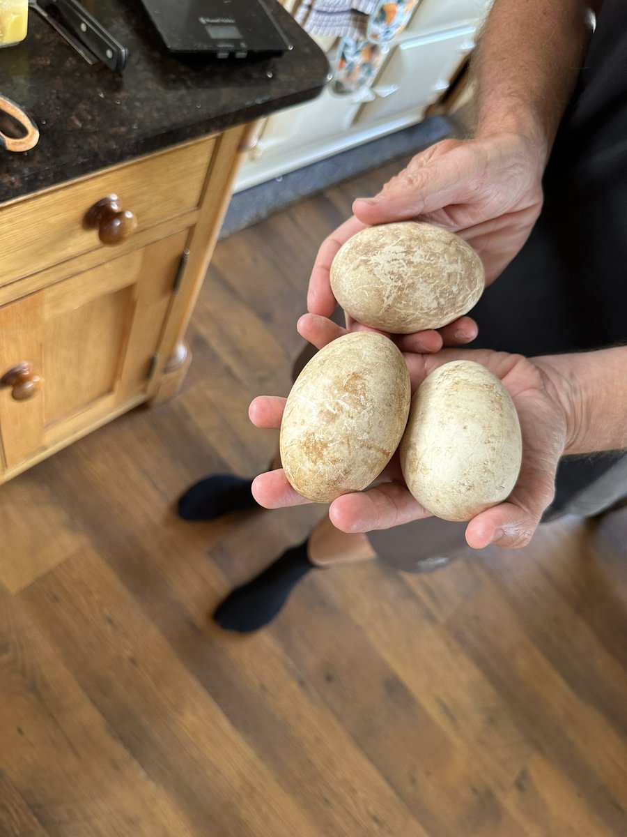 Dr Shawn Baker 🥩 on Twitter "Last meal in UK! Thick cut bacon and a