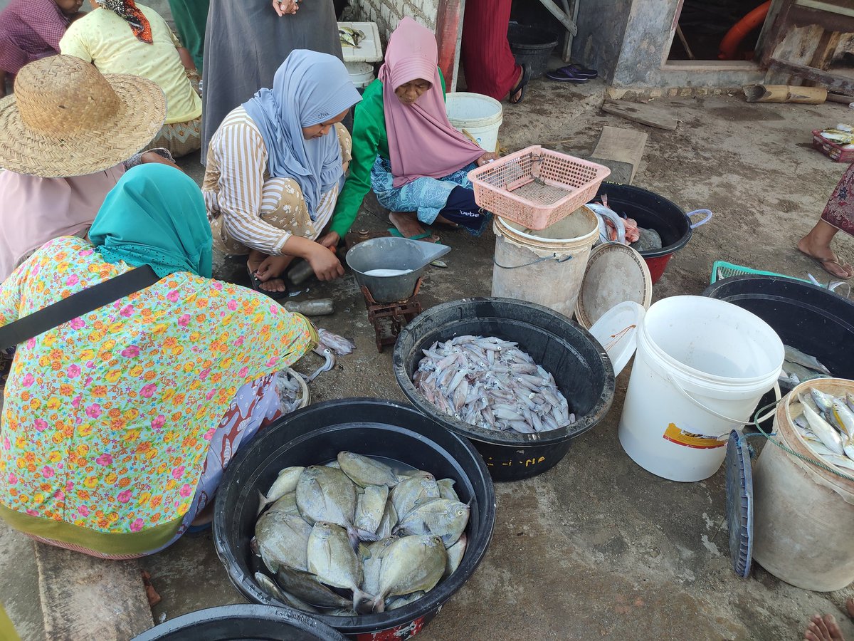 13Citranf's tweet photo. Senin(22/05), Citra NF, Luhkan #Pmekasan,  di pbk Moh Tusi, KUB Jaya Abadi Tlesah, Ds Tlesah, melaporkan tangkapan cumi sbnyk 7 kg, hrg 40rb/kg, layur 8 kg, hrg 20rb/kg dan dorang 14,5 kg, hrg 40rb/kg dg alat dogol
#GiatLuhkanSatminkalBwi
#luhlapor 
#produksi 
@bppp_banyuwangi https://t.co/voGSNXdudY