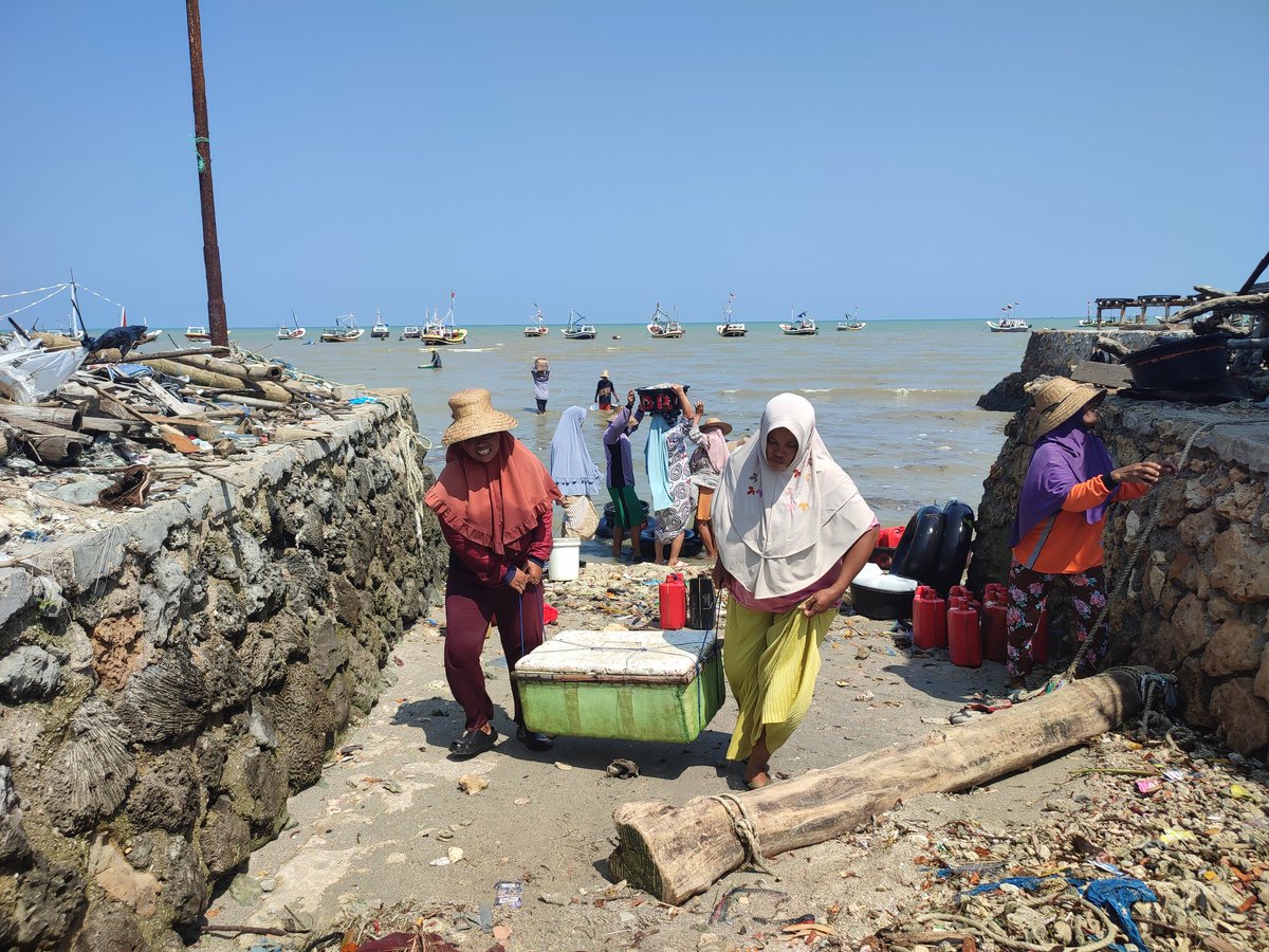 13Citranf's tweet photo. Senin(22/05), Citra NF, Luhkan #Pmekasan,  di pbk Moh Tusi, KUB Jaya Abadi Tlesah, Ds Tlesah, melaporkan tangkapan cumi sbnyk 7 kg, hrg 40rb/kg, layur 8 kg, hrg 20rb/kg dan dorang 14,5 kg, hrg 40rb/kg dg alat dogol
#GiatLuhkanSatminkalBwi
#luhlapor 
#produksi 
@bppp_banyuwangi https://t.co/voGSNXdudY