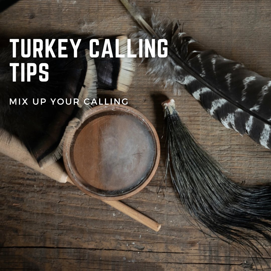 📌Turkey Calling Tips
-Mix up your calling.
.
.
.
#truwildlife #tidewe #piscifun #turkeyvest #huntinggear #enjoyhunting #whatgetsyououtside #whatgetsyououtdoors #huntingislife #turkeyhunting #tips