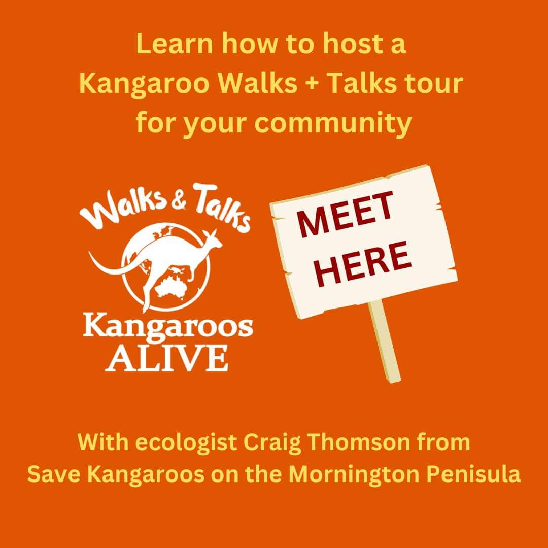 'Connect your community with their kangaroo mob 🦘🦘🦘🦘
Learn how in this webinar 
7pm - 8pm Tuesday May 30 on @kangaroosalive Facebook or YouTube channels!'
- @kangaroosalive
is.gd/QhC9GD