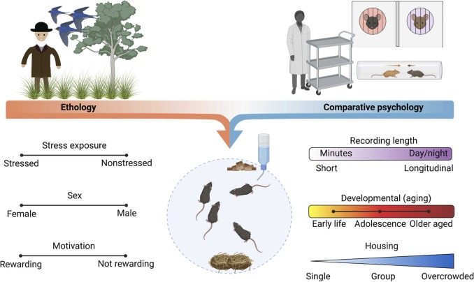 MathiasVSchmidt's tweet photo. Interested in how exciting new tools as #DeepLabCut, #SIMBA, #DeepOF etc. can transform behavioral neuroscience? Check out this new review from the lab by @joeribordes and @lucasmiranda422
https://t.co/3nj1zsZTEf https://t.co/6ANeBfcJVA