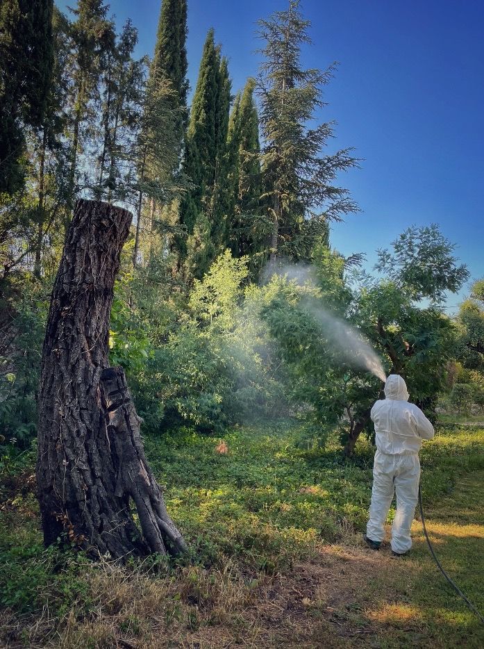 system_pest's tweet photo. La semana pasada tuvimos el placer de atender a clientes en los municipios de #HoyoDelManzanares y #LasRozas, para resolver sus problemas de #ArañaRoja, #Pulgón, #Oídio o #Procesionaria.

⛱️ Este verano, tu jardín libre de plagas.

#controldeplagas #fumigaciones #árboles #plagas https://t.co/wFHIn8ycZH