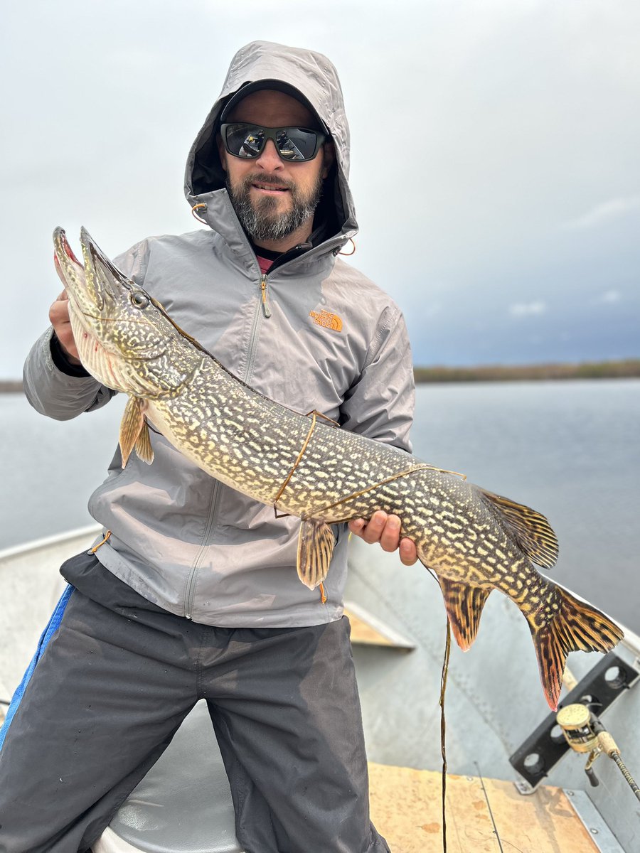 DanielMairet1's tweet photo. A few of the better Northern one of my friends caught on this trip.
#Manitoba
#flyinfishing https://t.co/0yC0lzFaci