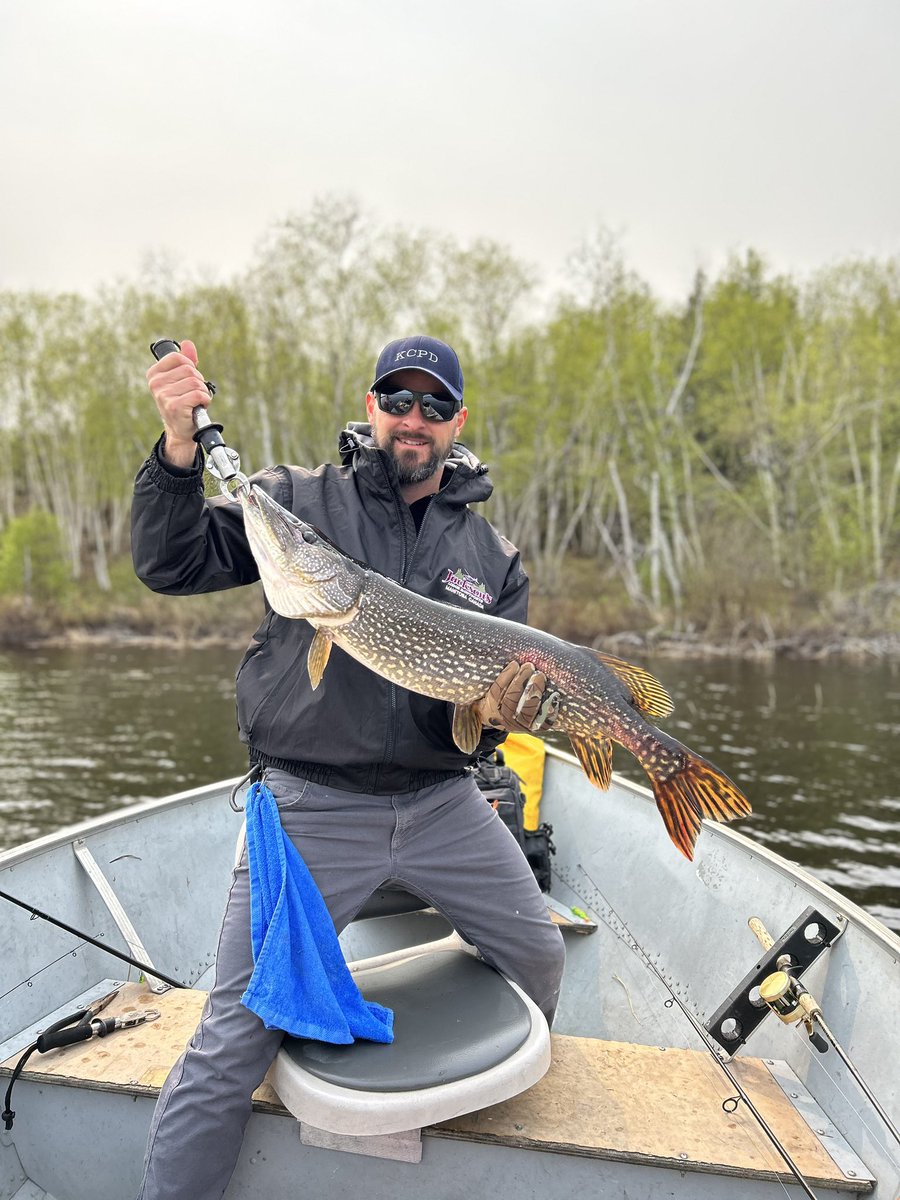 DanielMairet1's tweet photo. A few of the better Northern one of my friends caught on this trip.
#Manitoba
#flyinfishing https://t.co/0yC0lzFaci