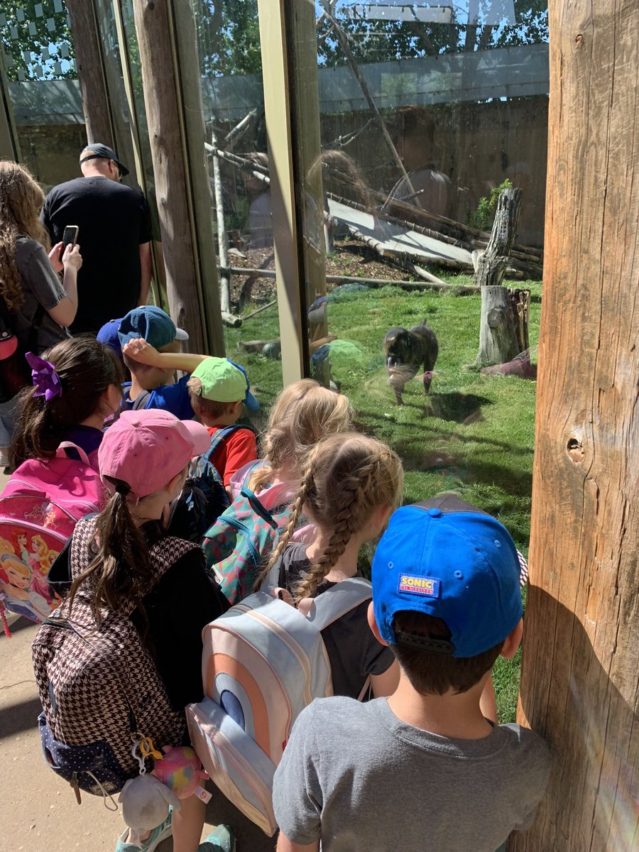 SASCBE's tweet image. Scenic Acres kindergarten students invade the Calgary Zoo!