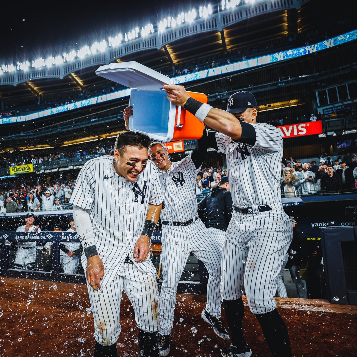 New York Yankees tweet media