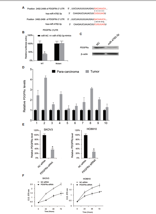 Cancer_Whioce's tweet photo. 📌#HighlyCitedPaper Anti-tumor Role of MicroRNA-4782-3p in Epithelial Ovarian Cancer
By: Ting An,et al.
https://t.co/CdN7Mon6rb
#Anti-tumor #Epithelial #Cancer https://t.co/keWeZt94xs