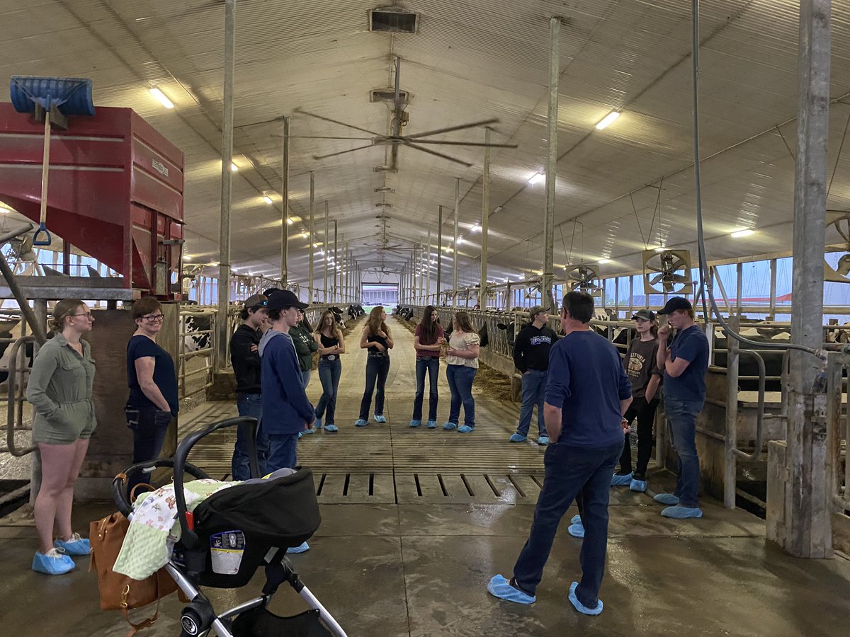 Caleigh Slits tweet media