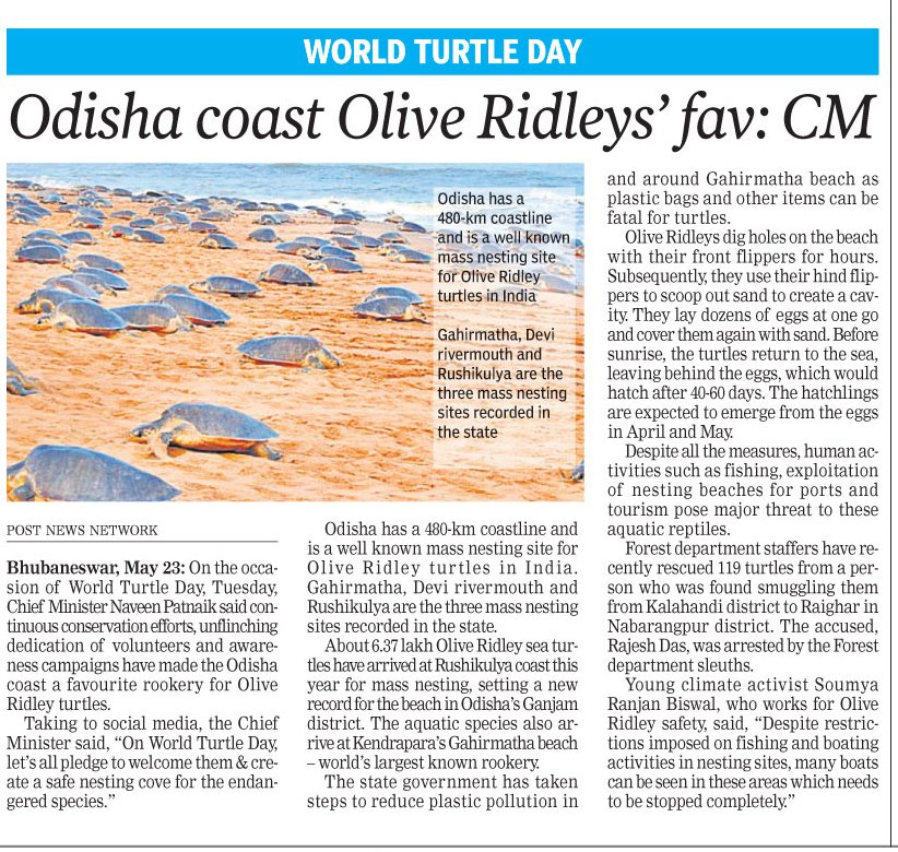 SoumyaMarineWL's tweet image. #TurtleDay!🐢🌊 Proud that Odisha is home to majestic #OliveRidley. But disheartened by the silence from @CMO_Odisha, @dpradhanbjp including all mainstream media when I highlight the thousands of killing of Ridleys at #DeviRiverMouth. Extinction looms since 1997. #SaveOliveRidley