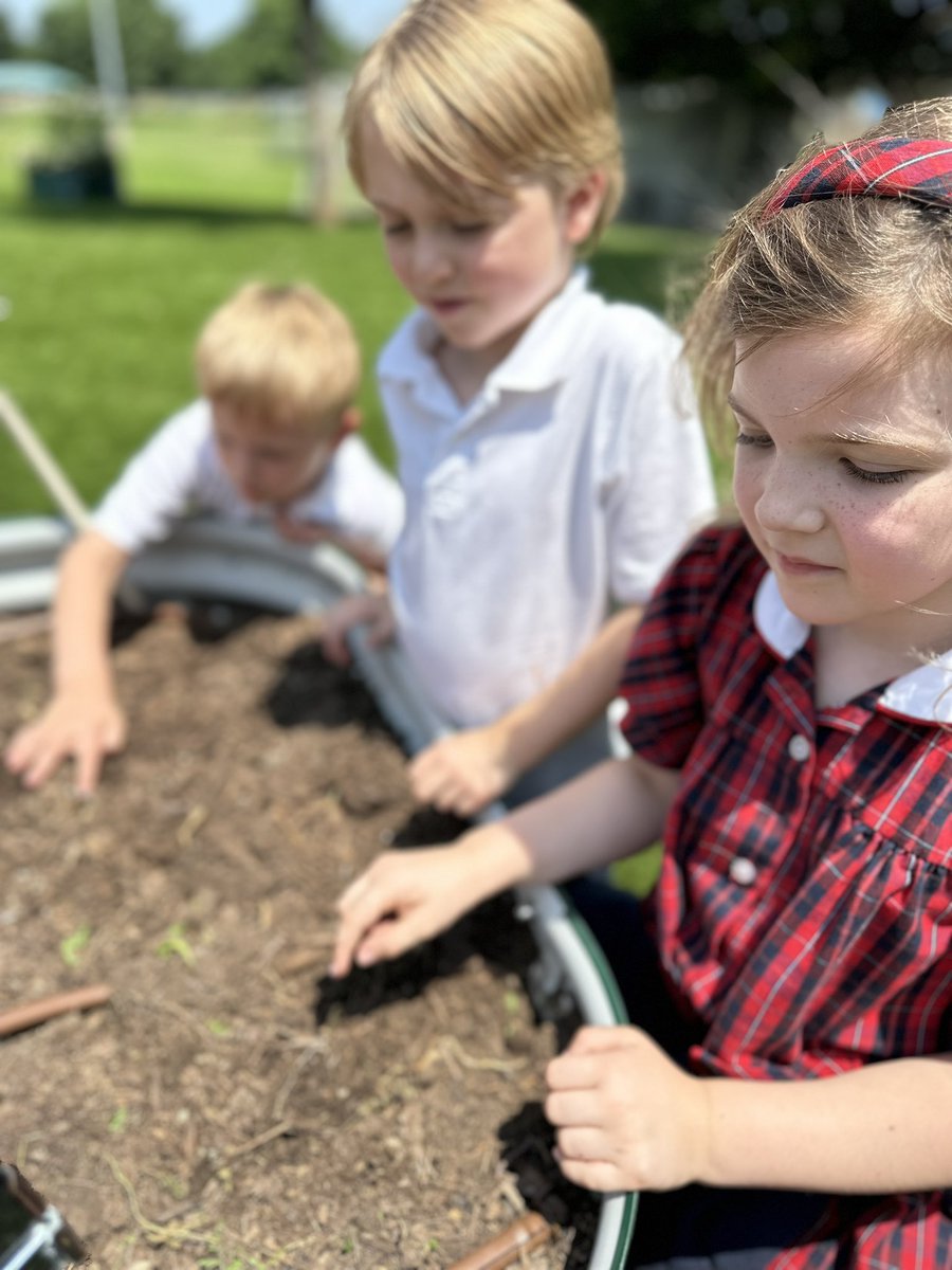mpowell_gses's tweet photo. Summer is almost here 😎 and these sweet Kinder Cuties planted some black eyed peas! @gsesdallas  #GrowGardenGrow https://t.co/42p2WJf10B