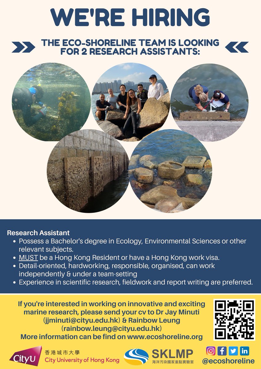 We're hiring! We are looking for 2 hardworking Research Assistants & 1 Postdoc/Research Associate to join our team. If you are interested in eco-engineering, artificial shoreline enhancement & oyster reef restoration, get in touch! @ecoshoreline @Marine_SKLMP @Kenny_MY_Leung