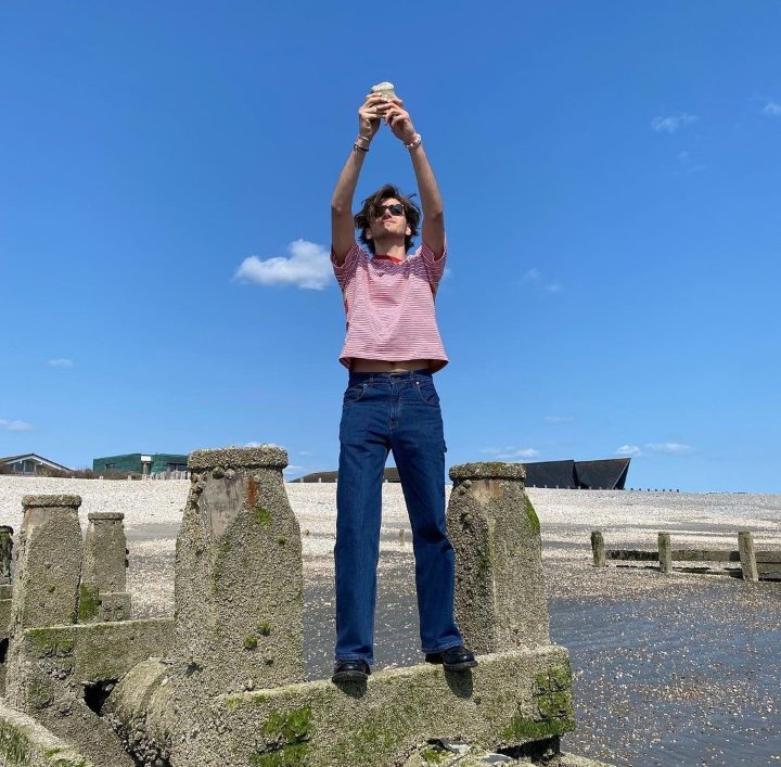 BashFiles's tweet image. 