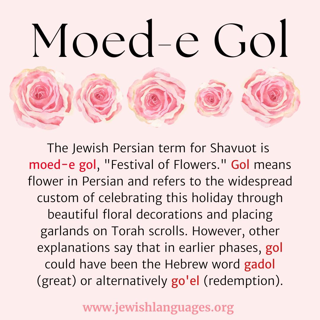 JewishLanguages's tweet image. The Jewish Persian way to say #Shavuot. 🌸🌷🌼
#EndangeredLanguages #Persian #holidays 
@HUCJIR @jewlearn @opensiddur @HadarInstitute  @JIMENA_Voice @AmericanSephard @Sephardic_in_DC @NuRootsLA