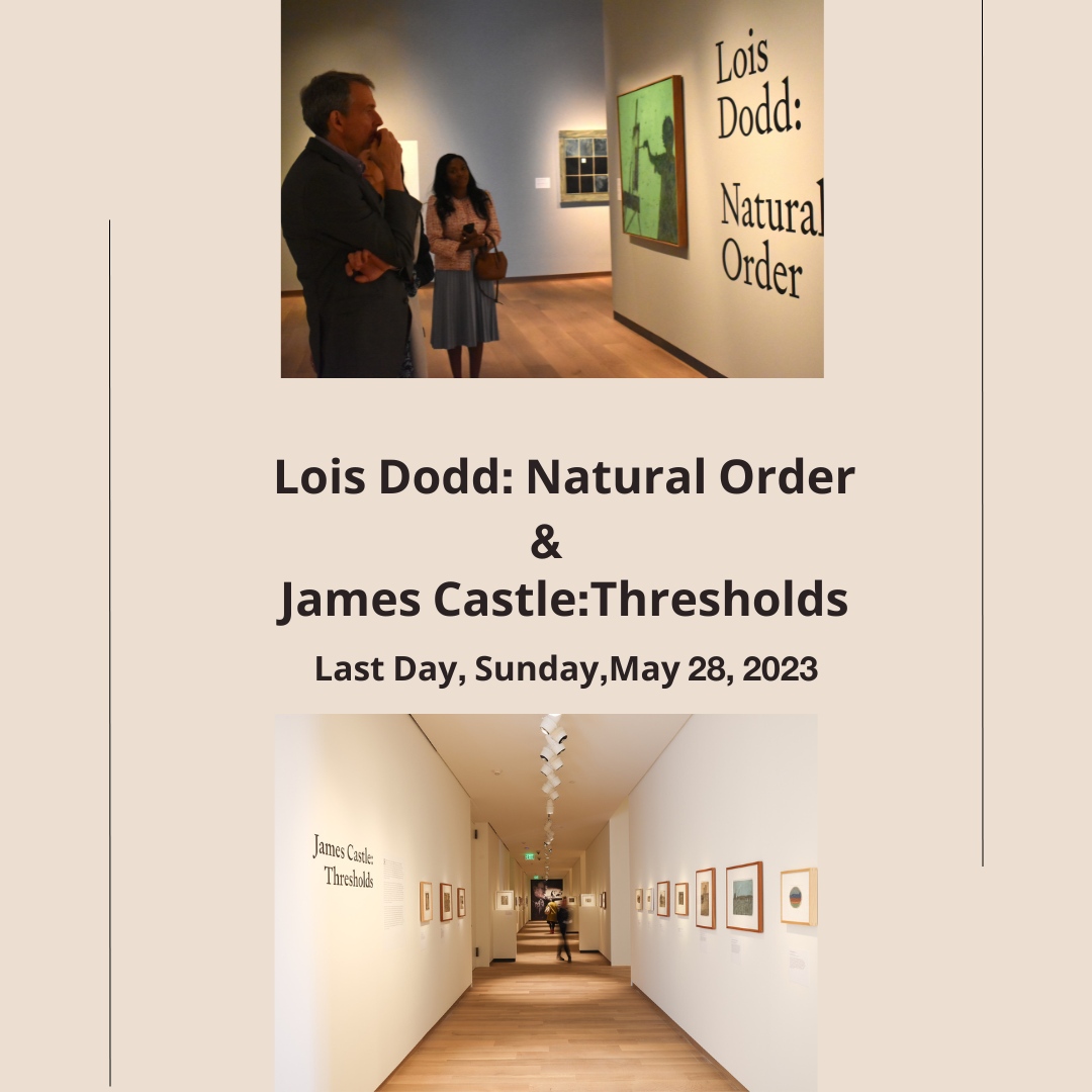 thebrucemuseum's tweet image. Do not miss out on viewing Lois Dodd and James Castle at the Bruce Museum. Both artists are highly acclaimed, and their work will inspire and amaze.

On view through Sunday, May 28. #LoisDodd #JamesCastle

Plan your visit!

brucemuseum.org/plan-your-visi…