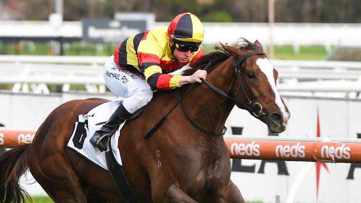 Julian Blaxland Bloodstock 🇦🇺 (@julianblaxland) on Twitter photo Selling Today 🚨Lot 918 “HEAVENLY BRIDGES” In foal to TORONADO - Carrying a 3/4 relation to <a href="/FlemingtonVRC/">Victoria Racing Club</a> Group 2 Winner ⭐️ “STILL A STAR” ⭐️in the Blue Sky Premium Consignment <a href="/mmsnippets/">Magic Millions</a> catalogue.magicmillions.com.au/lot/23GWM/918 Selling Today 🚨Lot 918 “HEAVENLY BRIDGES” In foal to TORONADO - Carrying a 3/4 relation to <a href="/FlemingtonVRC/">Victoria Racing Club</a> Group 2 Winner ⭐️ “STILL A STAR” ⭐️in the Blue Sky Premium Consignment <a href="/mmsnippets/">Magic Millions</a> catalogue.magicmillions.com.au/lot/23GWM/918
