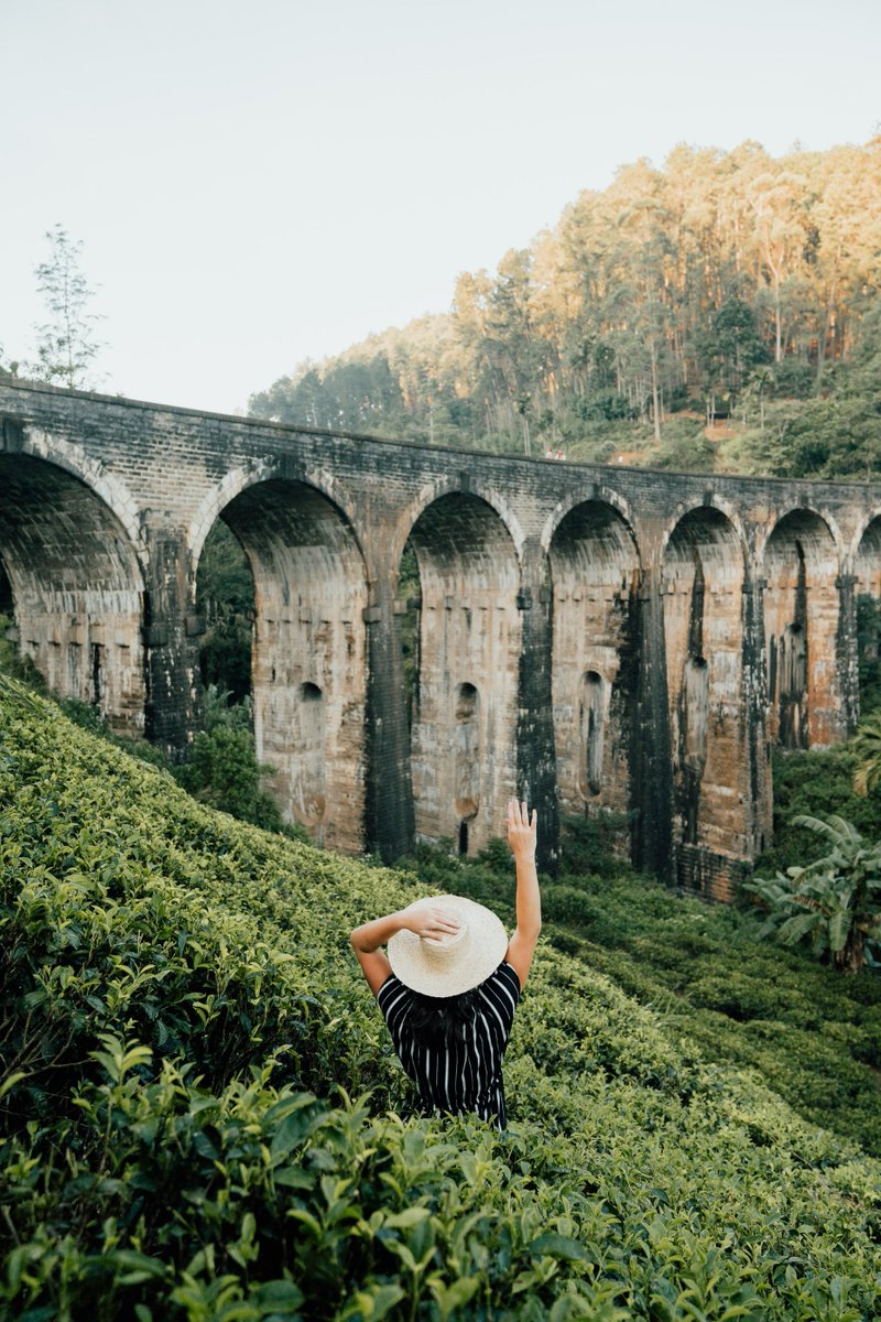 CeylonApex's tweet photo. The Nine Arches Bridge -
also called the Bridge in the Sky, is a viaduct bridge in Sri Lanka. It is one of the best examples of colonial-era railway construction in the country. https://t.co/7i9ffk34bf
