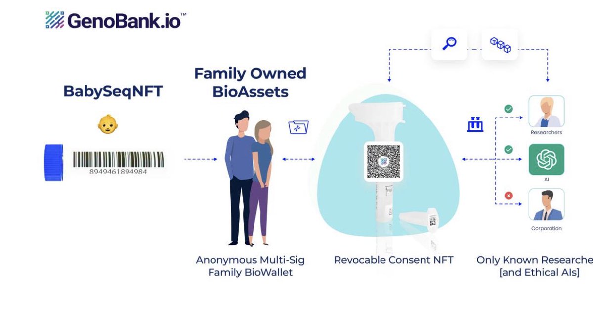 duribeb's tweet image. Highlighting the importance of enforcing digital #expiration dates for #biosample-derived datasets, #web3 methodologies are key. The concept of revocable #BioNFTs 🧬 offers a solution, allowing us to program expiration and consent. This also applies when engaging with Generative…