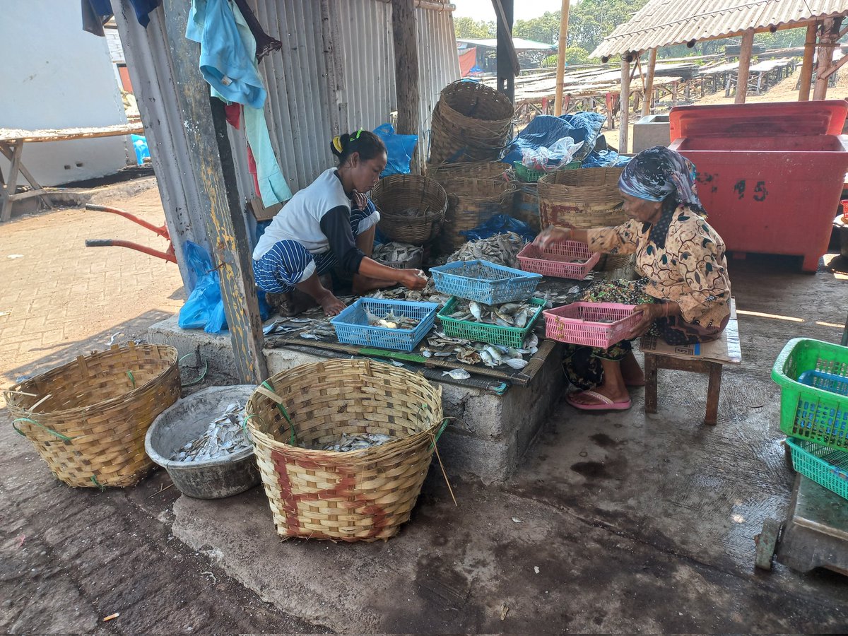 je_vico's tweet photo. Rabu (24/05/2023) Jeffiko, Luhkan Kab. Probolinggo, mendata produksi bu wiwik (mina karya) Ds Randuputih, melaporkan Produksi pengasinan ikan bulan mei sebanyak 150 Kg/hari, harga jual 40.000/Kg

#GiatLuhkanSatminkalBWI #probolinggo #Produksi @bppp_banyuwangi @puslatluhkp https://t.co/8uXhyftK0s
